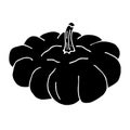 Vector hand drawn squash black patison