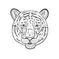 Vector hand drawn doodle sketch tiger head