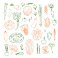 Vector hand drawn doodle vegetables icons set illustration