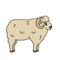 Vector hand drawn doodle white or beige farm ram animal. Cute cartoon male sheep looks to the right. Isolated character is on