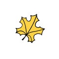 Vector hand drawn doodle yellow colored maple leaf Royalty Free Stock Photo
