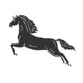 Vector hand drawn dressage horse jumping silhouette