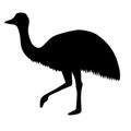 Vector hand drawn emu ostrich silhouette Royalty Free Stock Photo