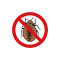Vector hand drawn engraved isolated illustration of bug, crum, bedbug. Prohibited insect, stop, warning, forbidden, no, ban bug