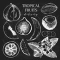 Vector hand drawn exotic fruits. Chalkboard style engraved smoothie bowl ingredients. Tropical sweet food delivery Royalty Free Stock Photo