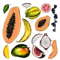 Vector hand drawn exotic fruits. Engraved smoothie bowl ingredients. Colored icon set. Tropical sweet food. Carambola Royalty Free Stock Photo