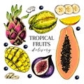 Vector hand drawn exotic fruits. Engraved smoothie bowl ingredients. Colored icon set. Tropical sweet food. Carambola Royalty Free Stock Photo