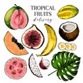 Vector hand drawn exotic fruits. Engraved smoothie bowl ingredients. Colored icon set. Tropical sweet food. Carambola