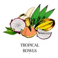 Vector hand drawn exotic fruits. Engraved smoothie bowl ingredients. colored icons. Tropical sweet food. Piatahaya