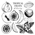 Vector hand drawn exotic fruits. Engraved smoothie bowl ingredients. Tropical sweet food delivery. Guava, fig, coconut Royalty Free Stock Photo