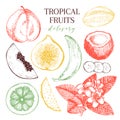 Vector hand drawn exotic fruits. Engraved smoothie bowl ingredients. Tropical sweet food delivery. Guava, fig, coconut