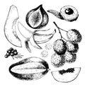 Vector hand drawn exotic fruits. Engraved smoothie bowl ingredients. Tropical sweet food. Papaya, fig, lychee, acai Royalty Free Stock Photo