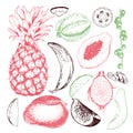 Vector hand drawn exotic fruits. Engraved smoothie bowl ingredients. Tropical sweet food. Pineapple, papaya, fig, mango Royalty Free Stock Photo