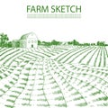 Vector Hand Drawn Farm Field Illustration, Green Lines Engrave Style. Royalty Free Stock Photo