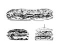 Vector Hand Drawn Fast Food Illustrations Set, Black Drawings, Isolated Different Sandwiches and Burgers. Royalty Free Stock Photo
