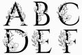 Vector Hand Drawn floral uppercase letters monograms Royalty Free Stock Photo