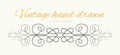 Vector hand drawn flourishes, text divider, graphic design element. Cute designer vintage border. Wedding invitation card, page d Royalty Free Stock Photo