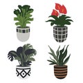 Vector hand drawn flower pots. Home garden collection, gardening design elements, flower pots, leaves