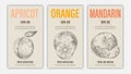 Vector hand drawn fruits of apricot, orange and mandarin posters. Vintage style healthy food concept for farmers market menu