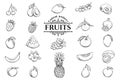 Vector hand drawn fruits icons set Royalty Free Stock Photo