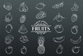 Vector hand drawn fruits icons set. Royalty Free Stock Photo