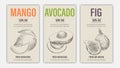 Vector hand drawn fruits of mango, avacado and fig posters. Vintage style healthy food concept for farmers market menu design