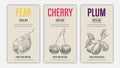 Vector hand drawn fruits of pear, cherry and plum posters. Vintage style healthy food concept for farmers market menu design