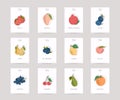 Vector hand drawn fruits posters. Eco foods. Colorful vector icons` set of fruits and vegetables. Royalty Free Stock Photo