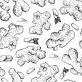 Vector hand drawn Ginger seamless pattern. Ginger root and cuted