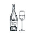 Vector hand drawn glass and bottle of wine Illustration