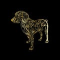 Vector hand drawn golden dog