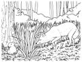 Vector hand drawn habitat fox hunting outline illustration Royalty Free Stock Photo
