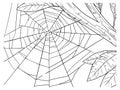 Vector hand drawn habitat spider web outline illustration Royalty Free Stock Photo