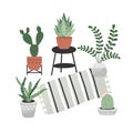 Vector hand drawn home plants collection.