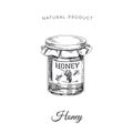 Vector hand drawn honey Illustration.