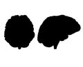 Vector hand drawn human brain silhouette Royalty Free Stock Photo