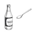 Vector hand-drawn illustration of bottle of vinegar and spoon isolated on white. Sketch with acetic acid for recipe design