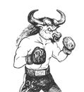 Bull athlete boxer engraved portrait