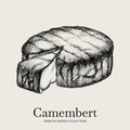 Vector hand drawn illustration of Camembert cheese.