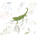 Vector hand drawn illustration Chameleon Lizard, tropical flowers, clip art. Green reptile on floral branch isolated on white back