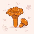 Vector hand drawn illustration of chanterelles mushrooms in doodle style isolated on a light background with autumn