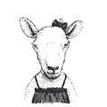 Vector hand drawn illustration with cute little sheep in dress and bow. Portrait of funny animal character in sketch style Royalty Free Stock Photo