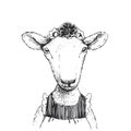 Vector hand drawn illustration with cute little sheep in dress and bow. Portrait of funny animal character in sketch style Royalty Free Stock Photo