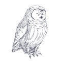 Vector hand drawn illustration of cute smiling owl