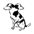 Vector hand drawn illustration of dog with two heads isolated