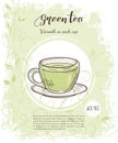 Vector hand drawn illustration of drinks menu pages with cup of green tea