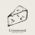 Vector hand drawn illustration of emmental cheese .