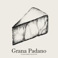 Vector hand drawn illustration of Grana Padano cheese .
