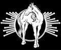 Vector hand drawn illustration of horse isolated. Tatto artwork.