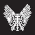 Vector hand drawn illustration of human ribs with wings isolated.